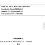 I viadotti autostradali pagano il canone: la Cassazione chiude il cerchio Cass., Sez. V, ord. n. 3633 del 17 febbraio 2026